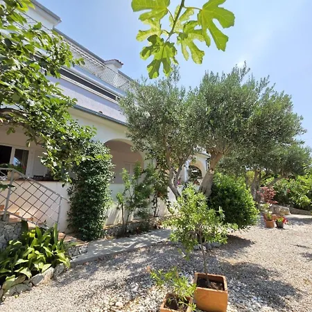 Πανσιόν Mimica Clasic 2 Pax With Sea View *